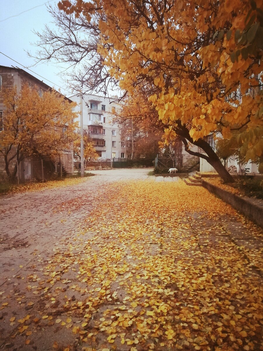 Севастополь, 5 декабря 2020