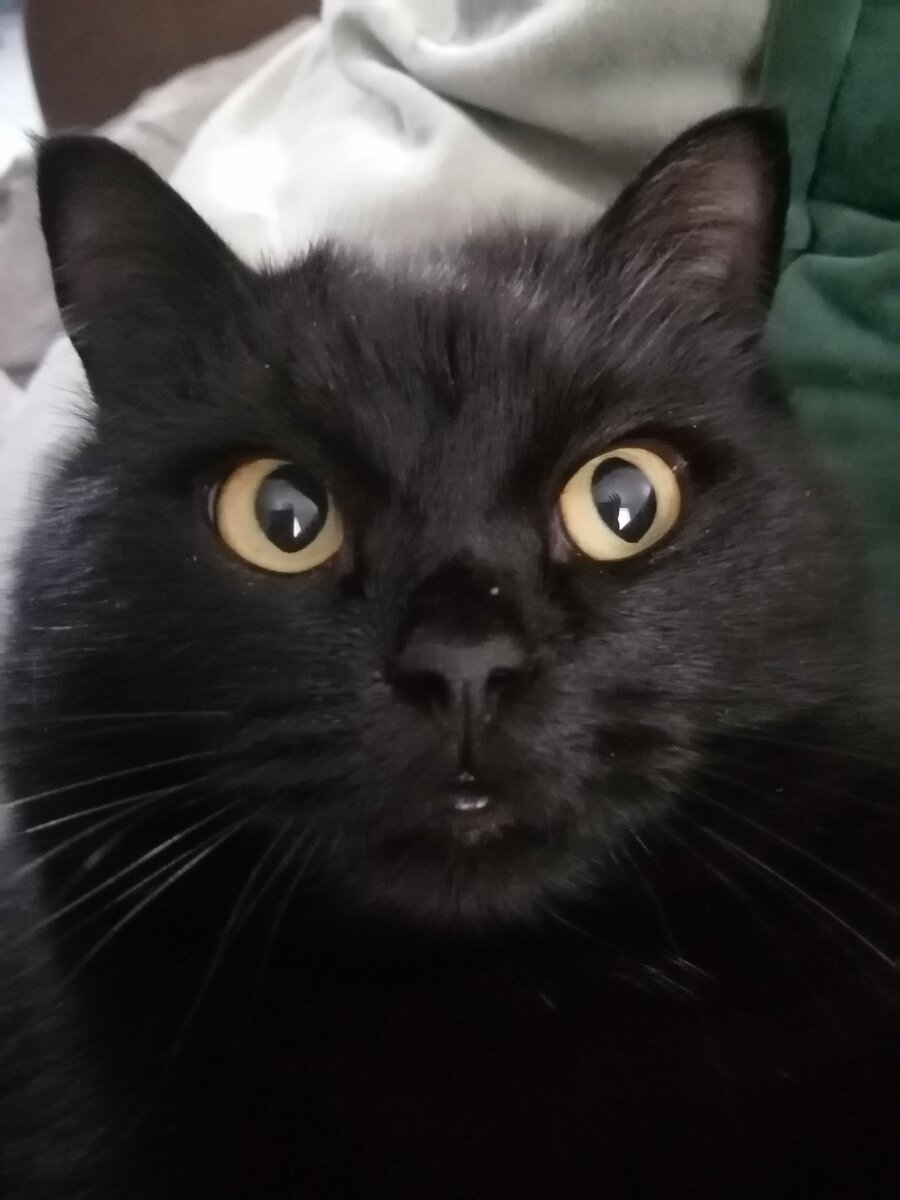 Как? Я один? 