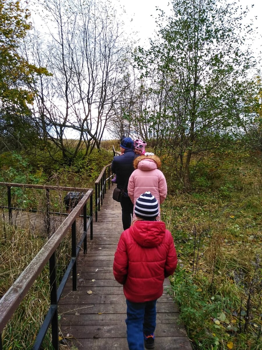 На экотропе.