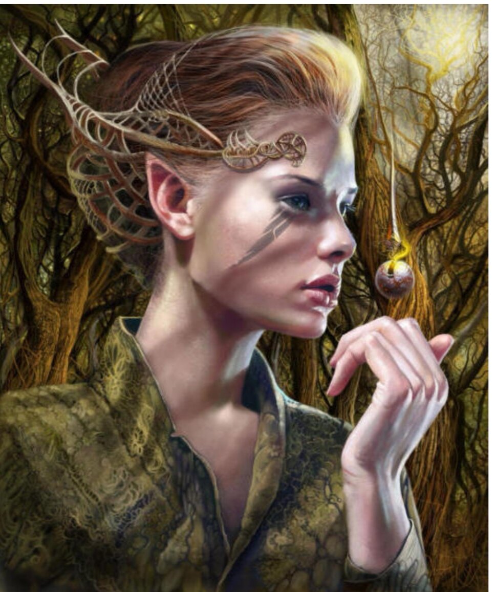 Картинка из Яндекс 