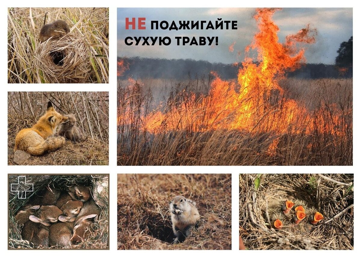 Источник: Школьный научно-исследовательский центр (сообщество ВК)