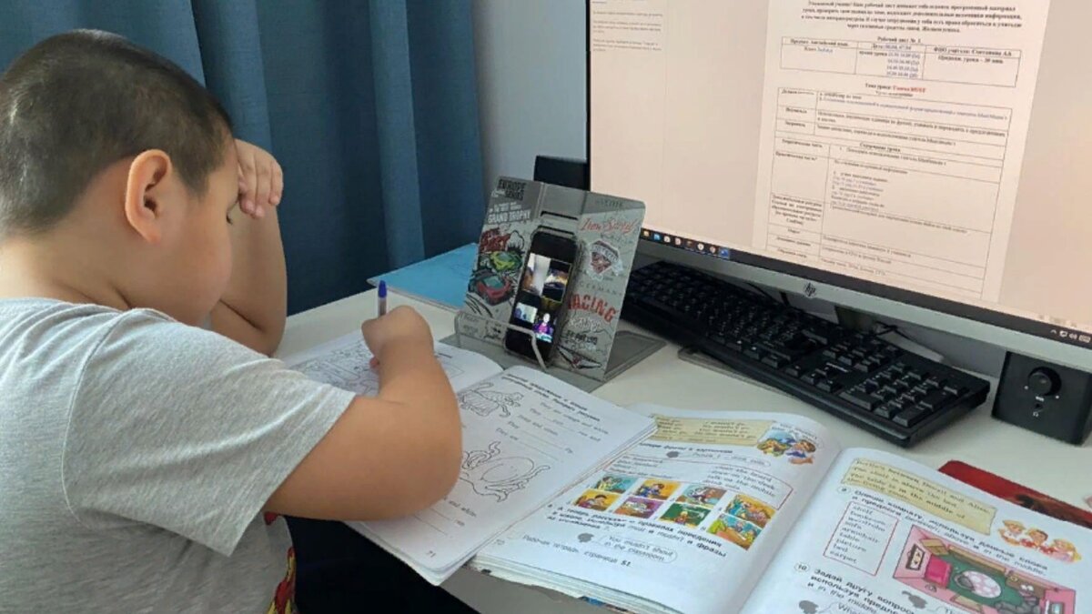 Ограничения, связанные с пандемией, необходимость перевода учащихся на дистанционное обучение дали дополнительный стимул реформаторам от образования. 