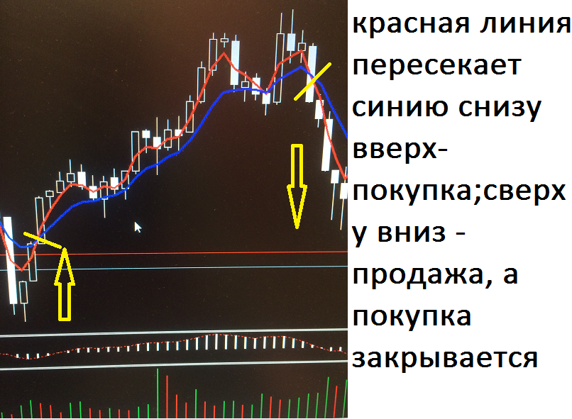торговля на фоексе