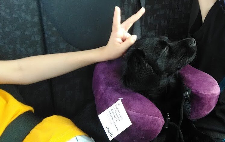 Пятиместная машина - пять пассажиров. Всё в порядке.