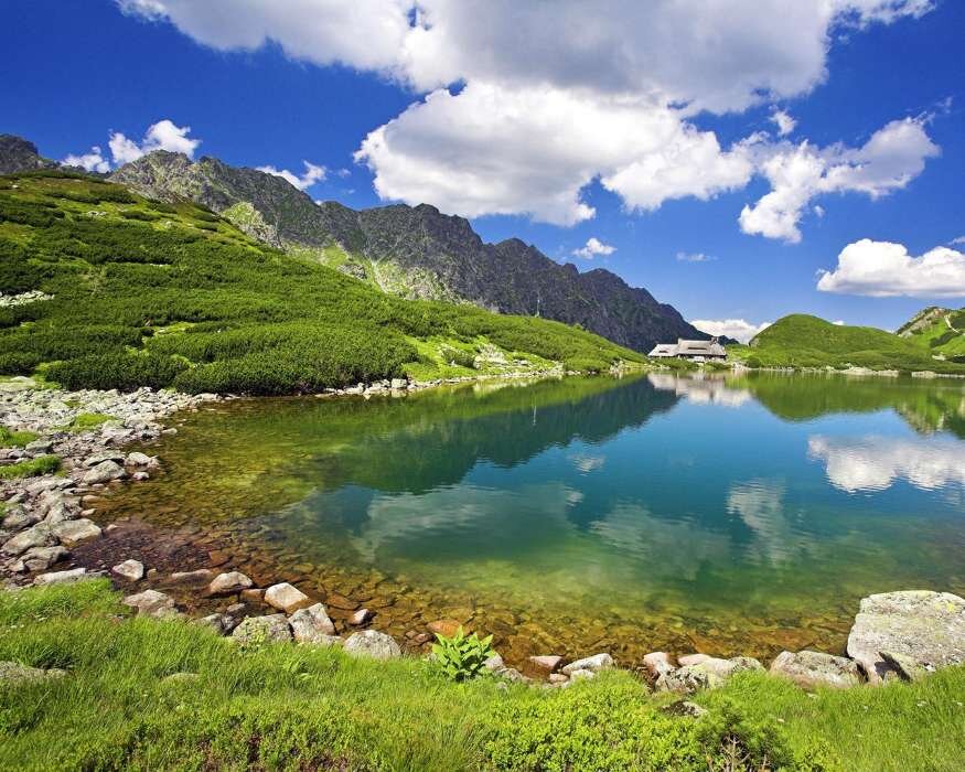 Картинки из интернета