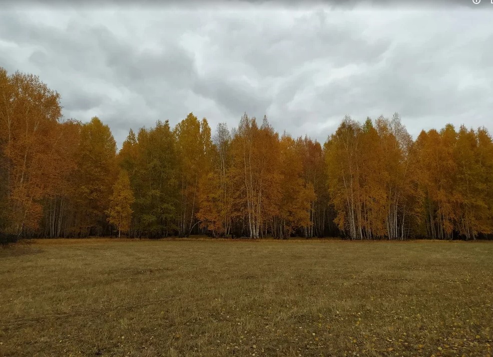 У меня своя 