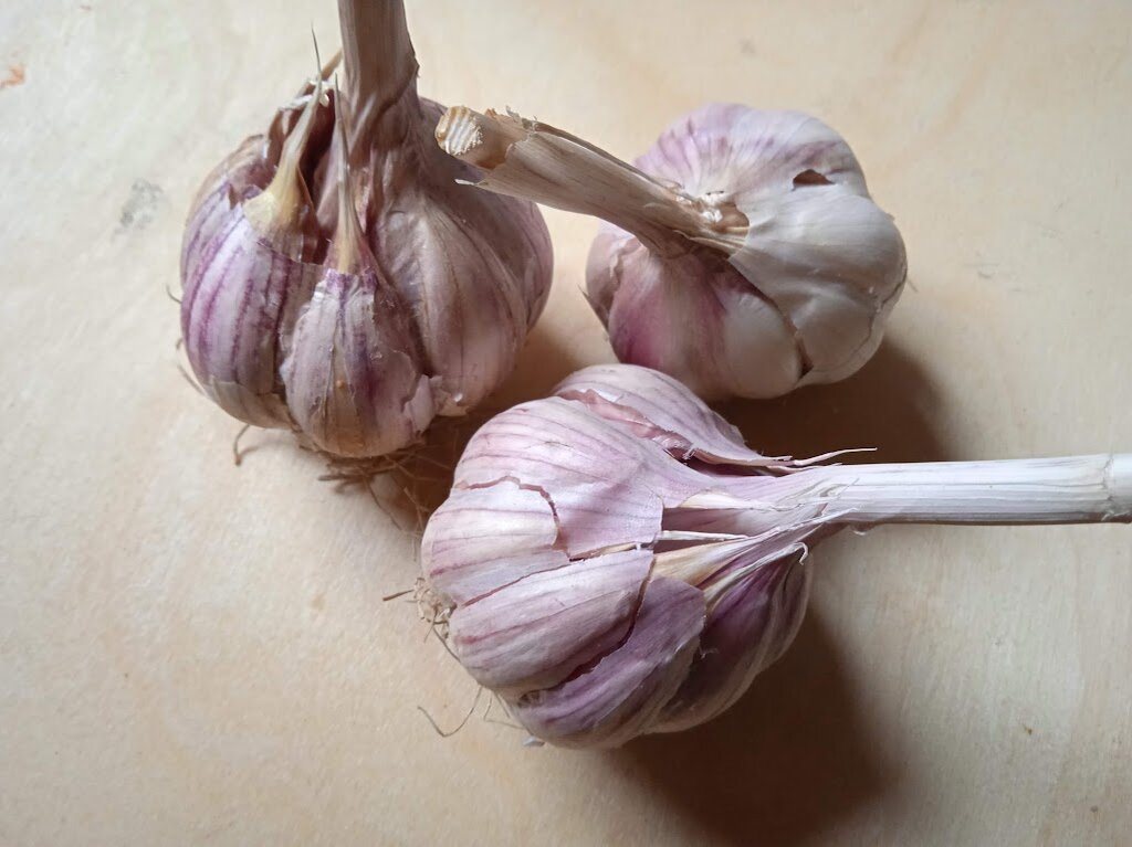Чеснок из магазина