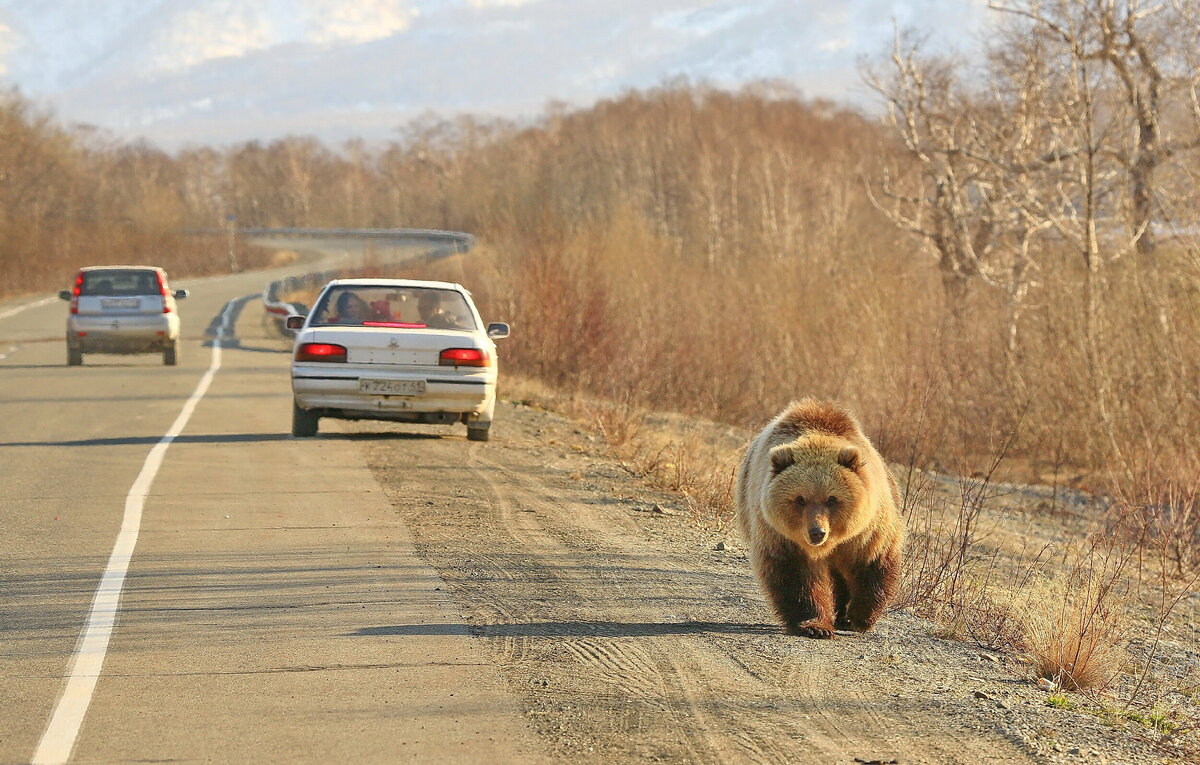 Фото: Светлана Кольцова, участник конкурса РГО "Самая красивая страна"
