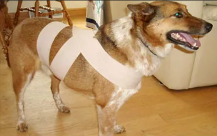 Вот примерно так