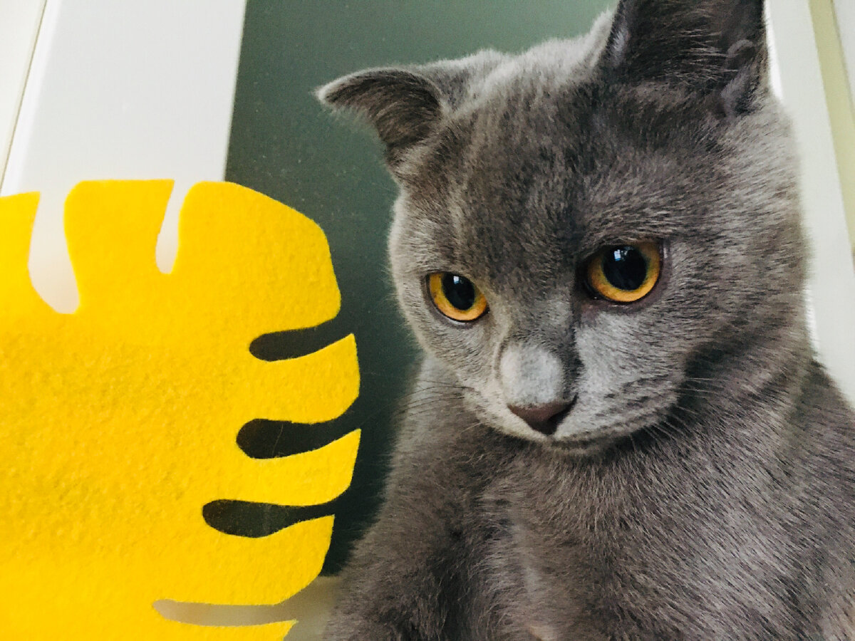 Фотография использована для иллюстрации статьи