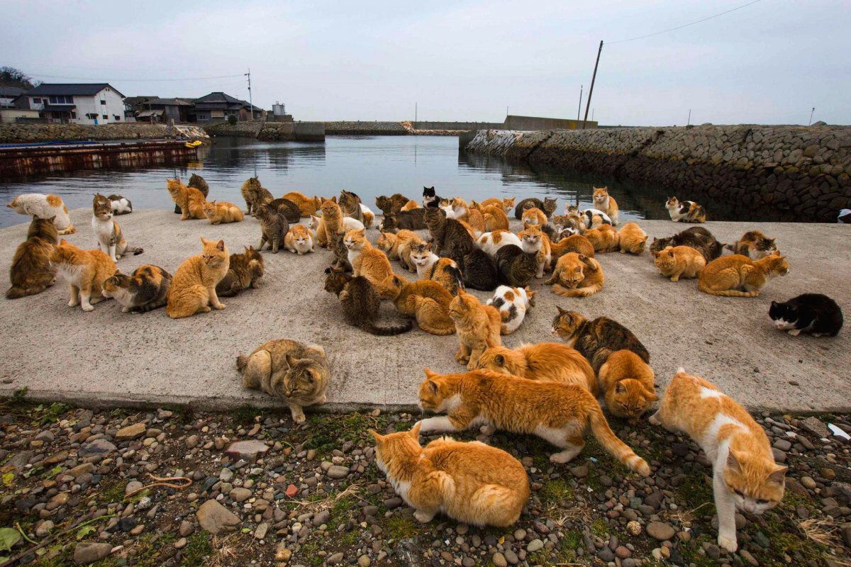 Подготовка к рыбалке :)