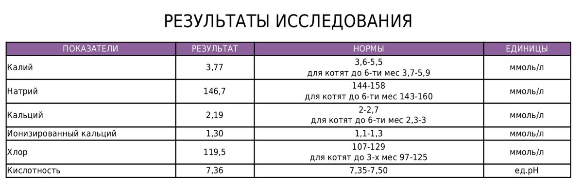 Когда придут результаты 2024