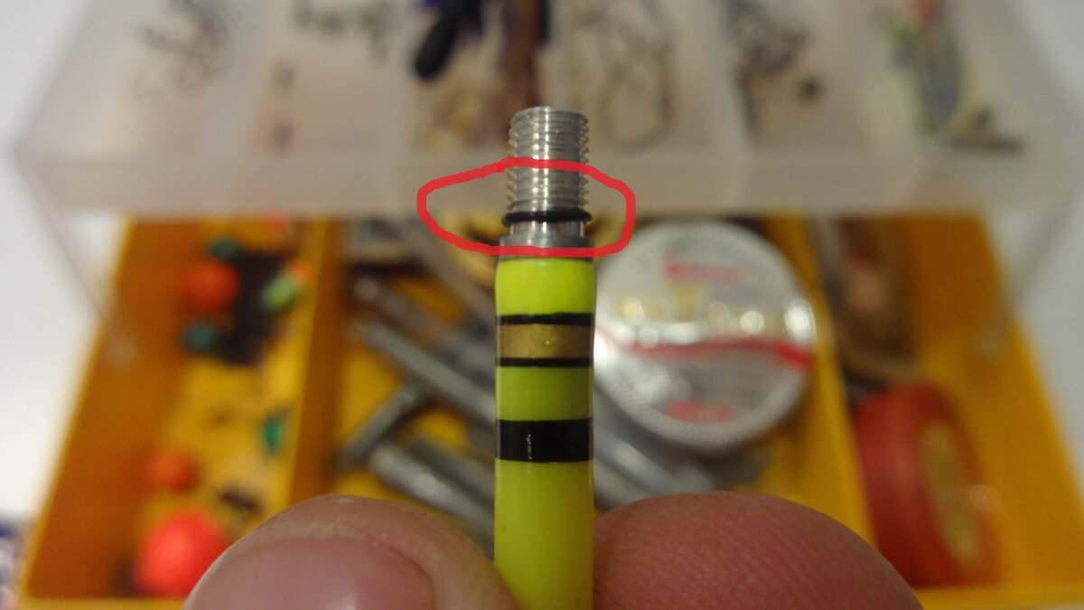 Фото автора.