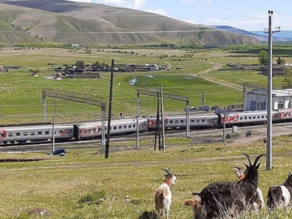 Яндекс- картинки. В окрестностях Могочи.