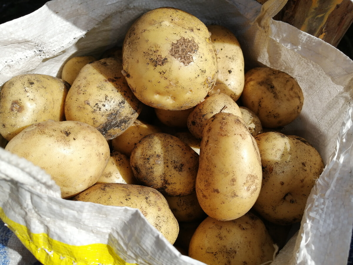 Фото канала Вечный выходной