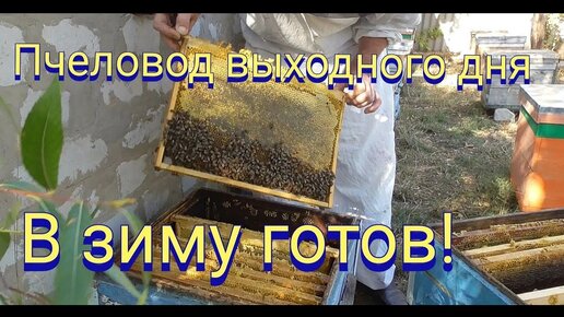 Лечебные пчелиные домики №1