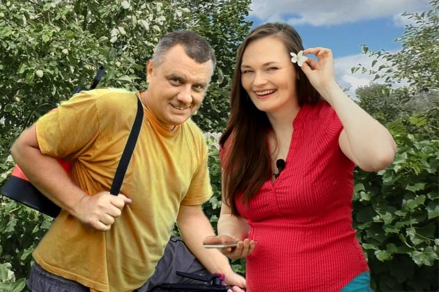 дачный агроном. секретный томат кристианны виниченко. сбор помидоров в теплицах. дачный агроном. дачный агроном смородина.