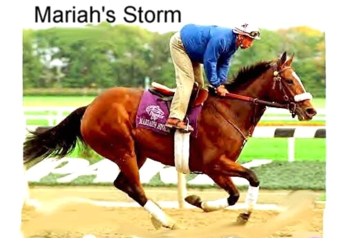 Фото: colorgenetics.info