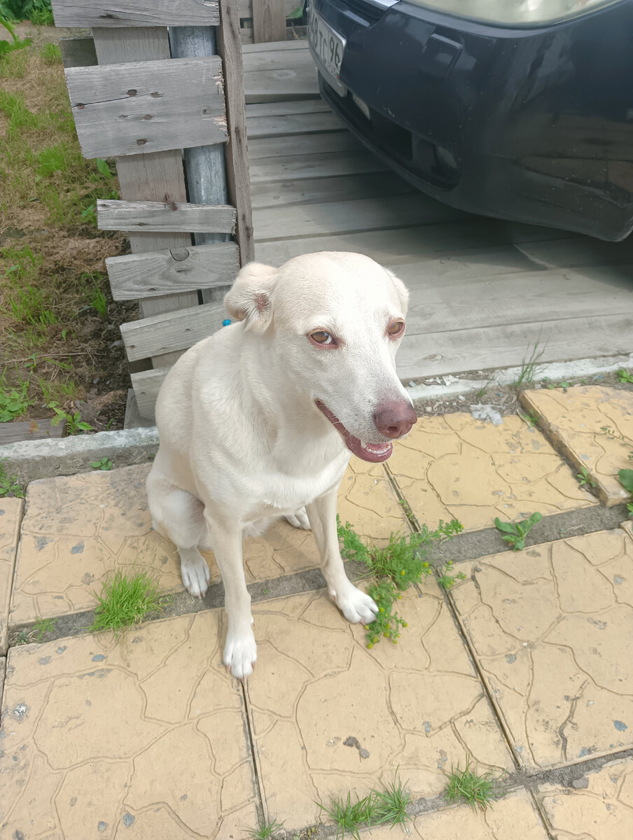 Мы думаем, да еще как!