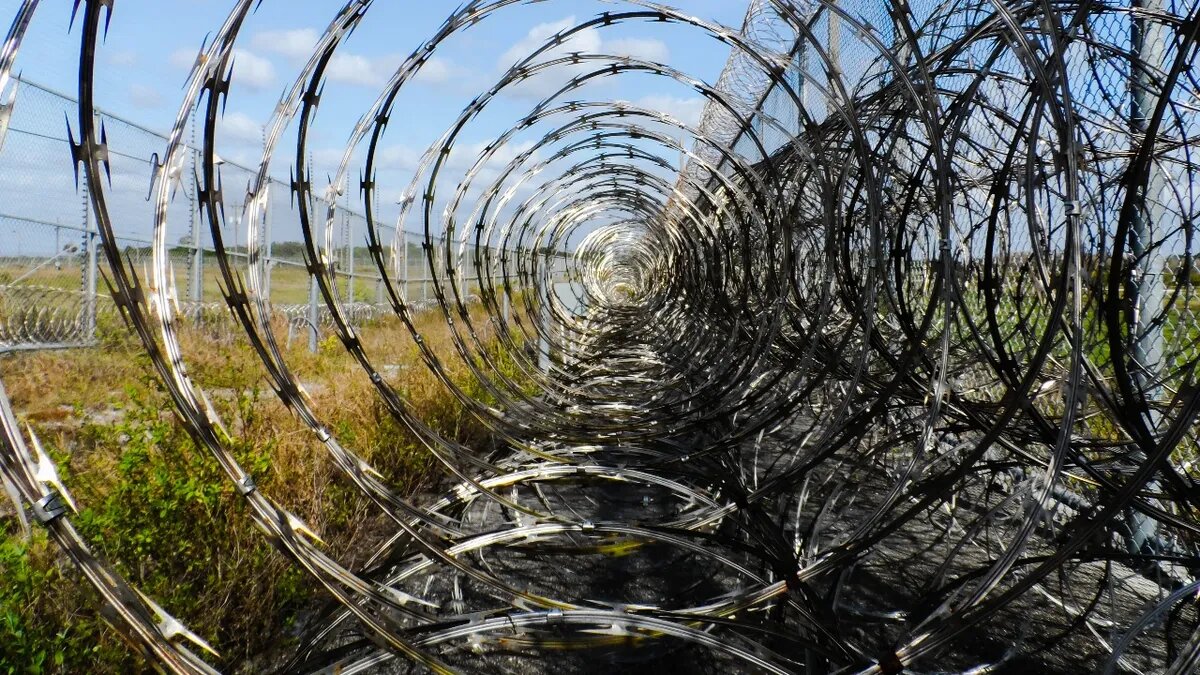 Фото: Pxfuel.com