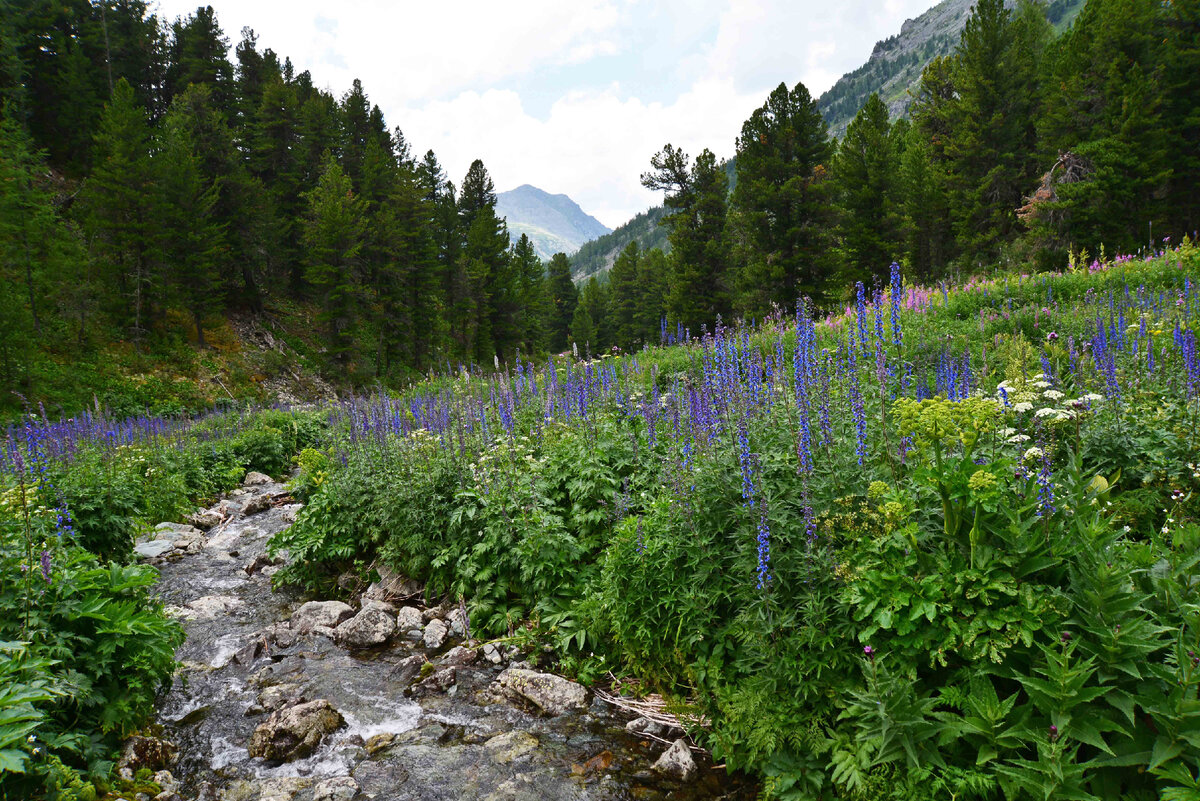 Фото Ольга Шадрина