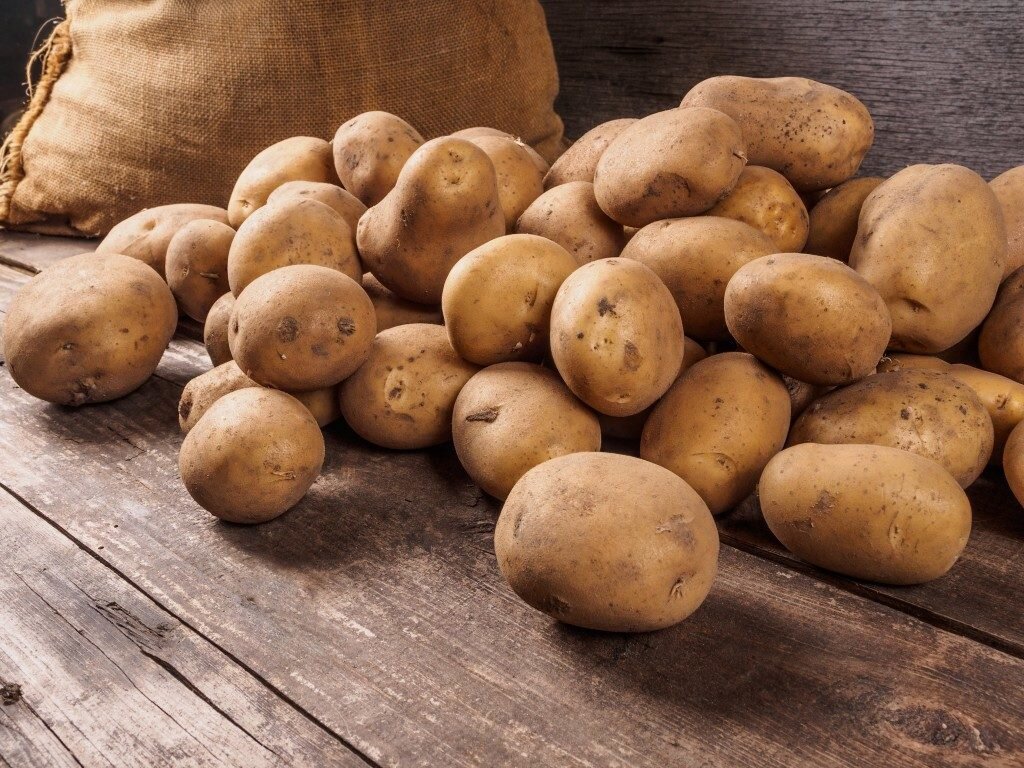 Картофель — уникальный продукт