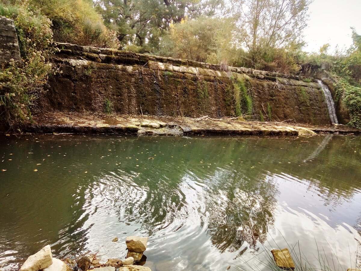 фото платины на реке кучук карасу