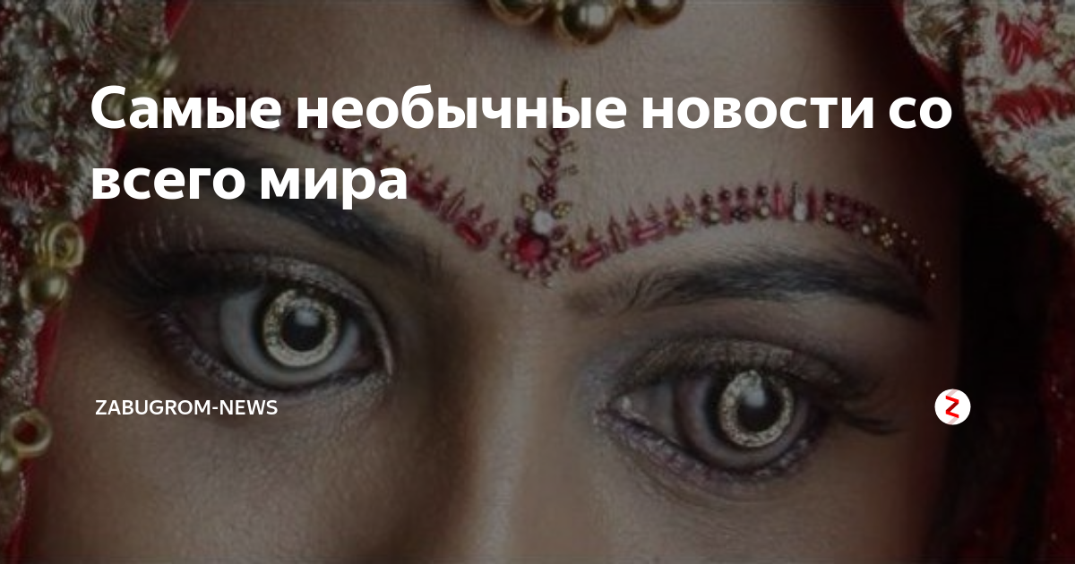 Самые необычные новости со всего мира | zabugrom-news | Дзен