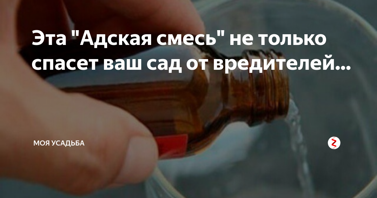 Адская смесь против болезней и вредителей в саду. Адская смесь против. Адская смесь против болезней и вредителей в саду и огороде рецепт. Адская смесь. Адская смесь против болезней и вредителей на 10 литров.