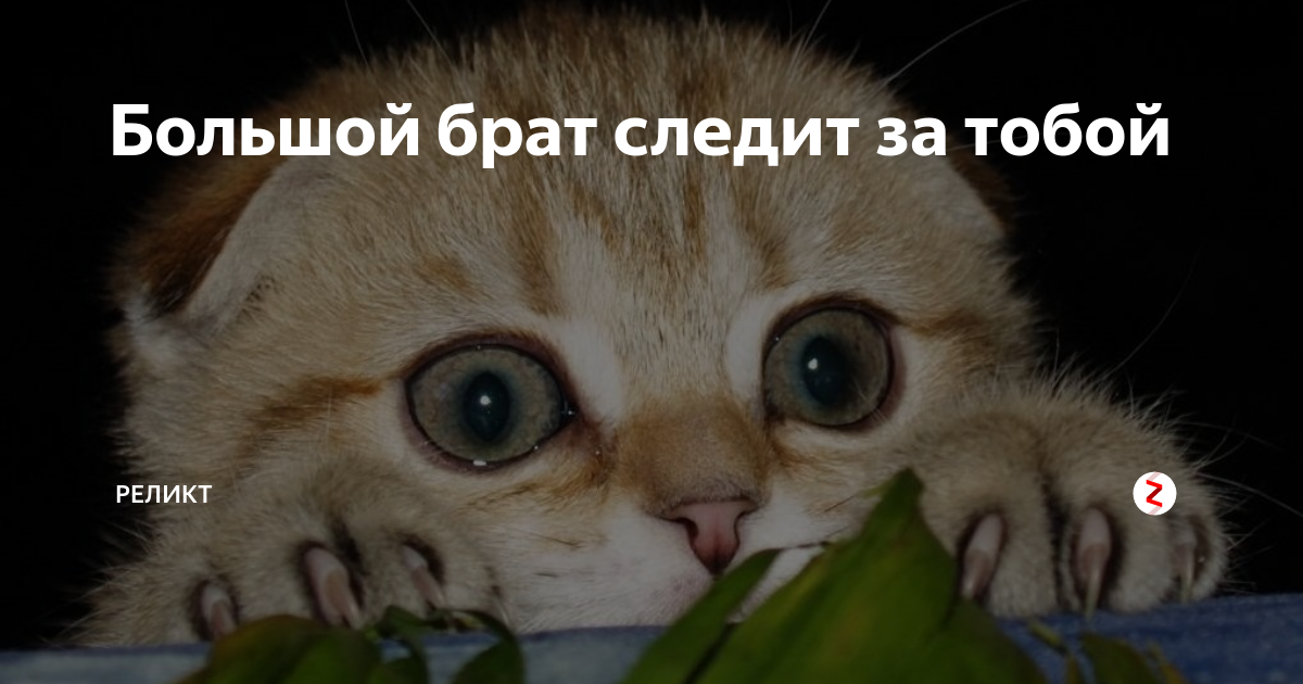 Кто то и большой наблюдает за тобой. Большой брат следит за тобой. Большой брат следит PF NJ,JQ. Помни большой брат следит за тобой. Большой брат следит за тобой Мем.