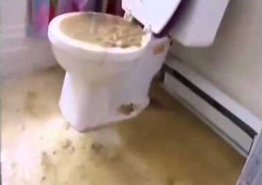 Дорогие дачники. На многих форумах сейчас встречается обсуждение так называемого дрожжевого перегноя. А именно, способ его приготовления.-3