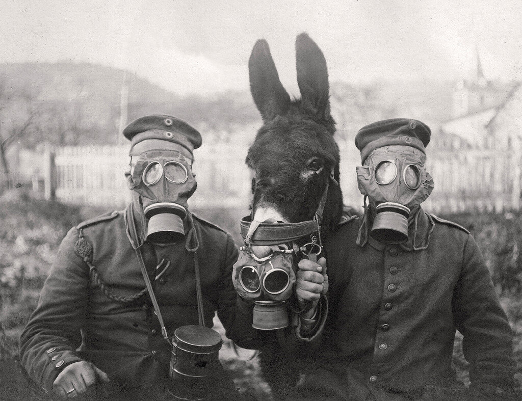 Эти парни дышали хлором за ... объединенную Европу? Источник фотографии: https://www.tumblr.com