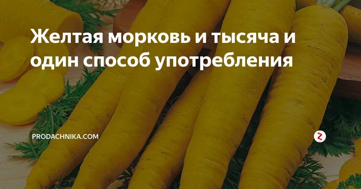 Желтая морковь и тысяча и один способ употребления | prodachnika.com | Дзен