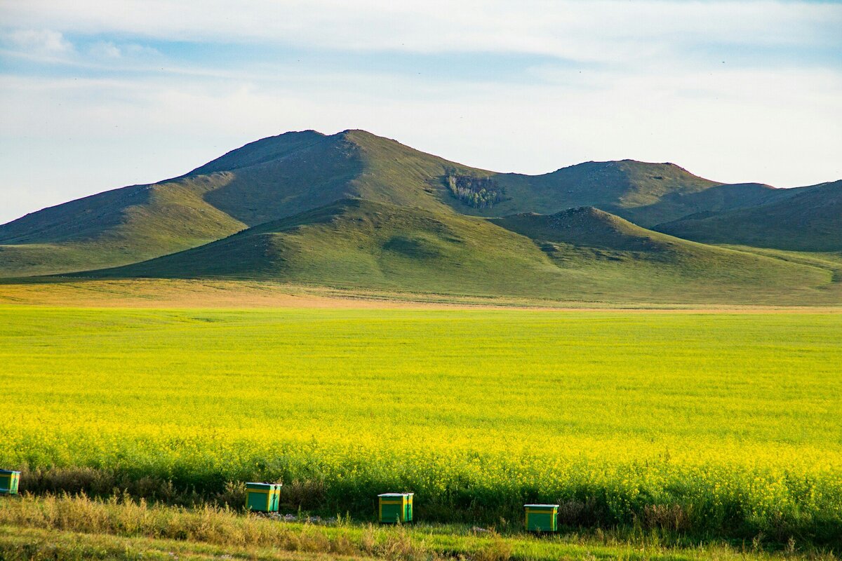 Дархан монголия фото