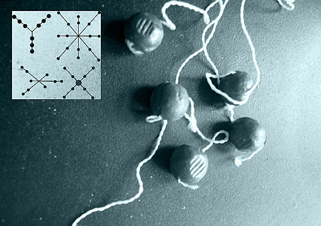 Связанная картечь.