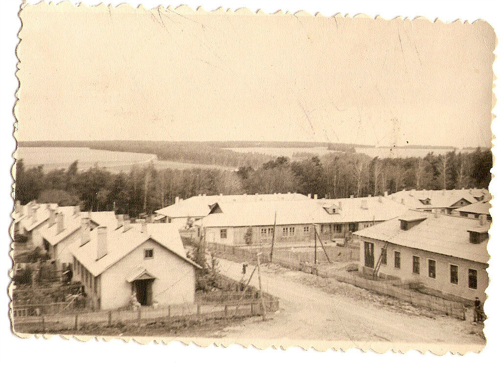 Вид на улицу Школьную и Лесную с крыши строящегося клуба. Фото 50-ых гг ХХ века