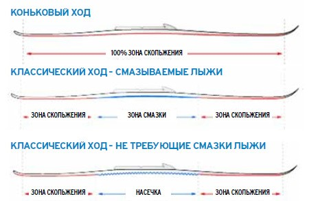 Виды беговых лыж