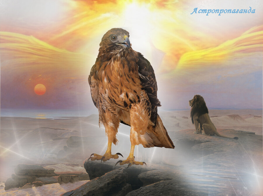 Коллаж Нины Стрелковой.