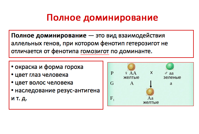 Виды доминантных генов