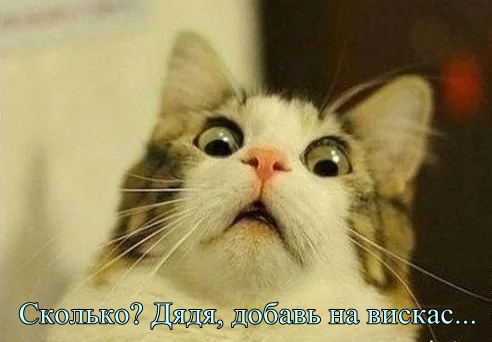 Для создания коллажа использовано фото из Яндекс.Картинки