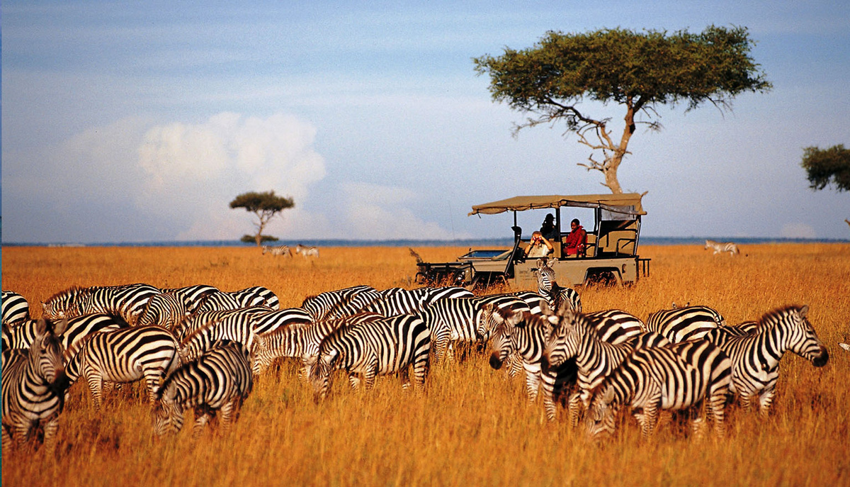 Сафари в Танзании