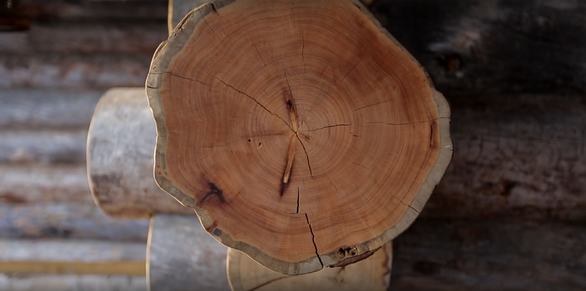 фото http://artkelo.ru