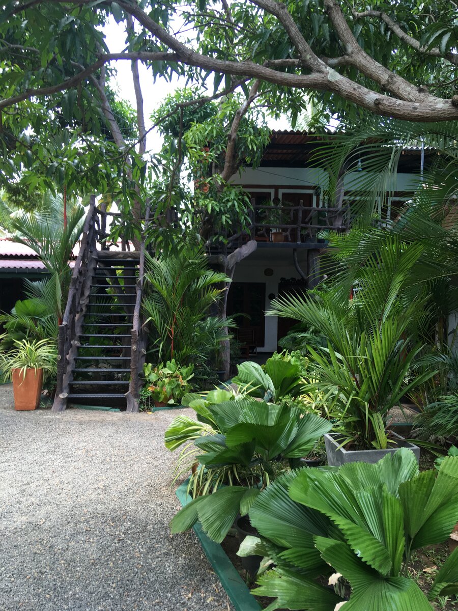 The Nature Park Villa-атмосферный отель в Сигирии.