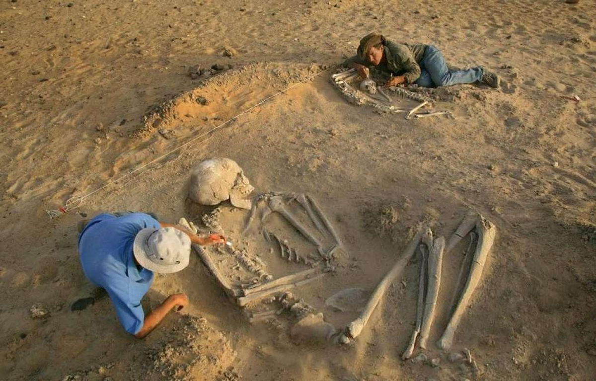 3 тысячи лет жила. Смитсоновский институт кости великанов. Гигантские скелеты Смитсоновский институт. Скелеты великанов раскопки. Великаны люди скелеты исполины.