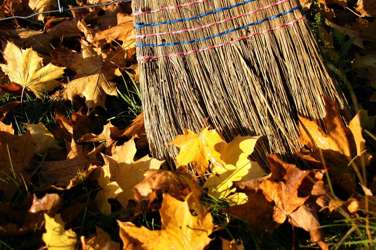 Фото: pixabay.com