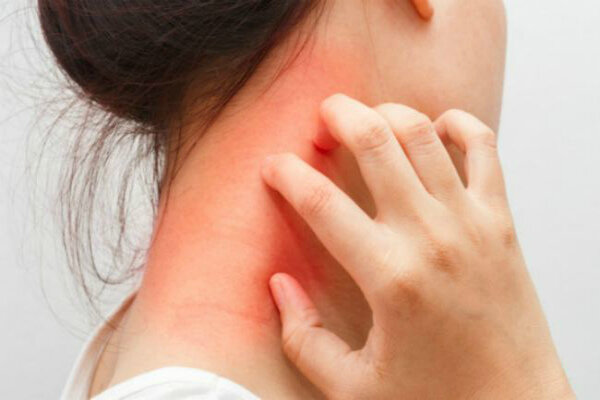 Источник: https://www.google.ru/imgres