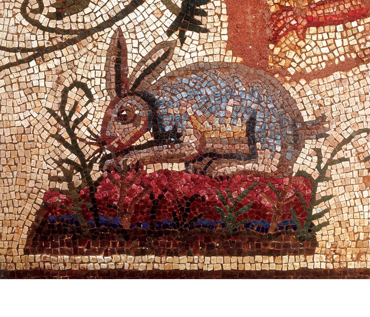 «О, мой мех и усы!»: Мозаика из зайца или кролика из Дома Диониса, Кипр, третье столетие нашей эры. © Bridgeman Images