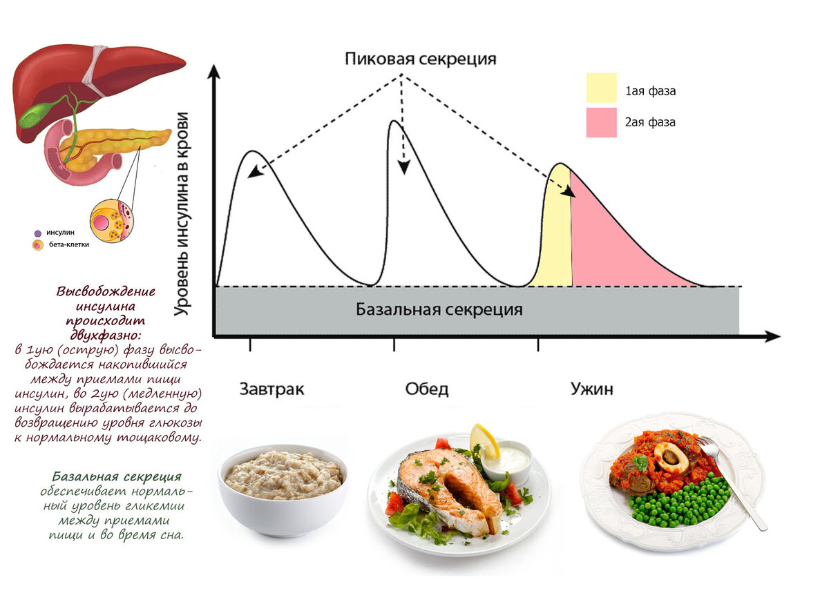 Уровня выработки инсулина. Схема выработки инсулина в организме человека. Скачок инсулина в крови. Схемы выброса инсулина. Инсулин после еды.