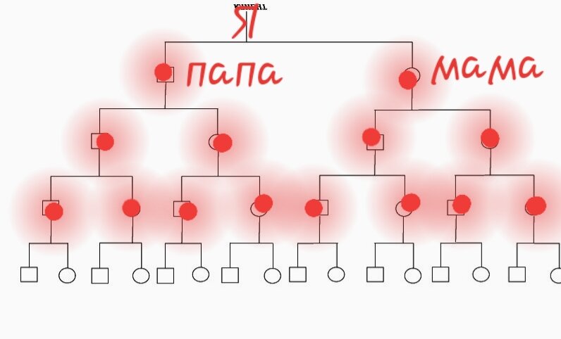 Схема рода человека