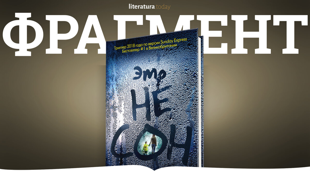 Фрагмент книги "Это не сон" Терезы Дрисколл